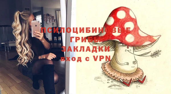 мяу мяу мука Вяземский