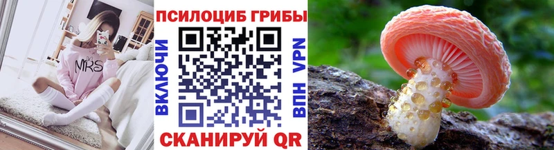 Псилоцибиновые грибы Psilocybe  kraken ССЫЛКА  Иваново 